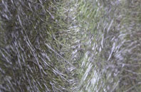 Twywell fibreglass roof work